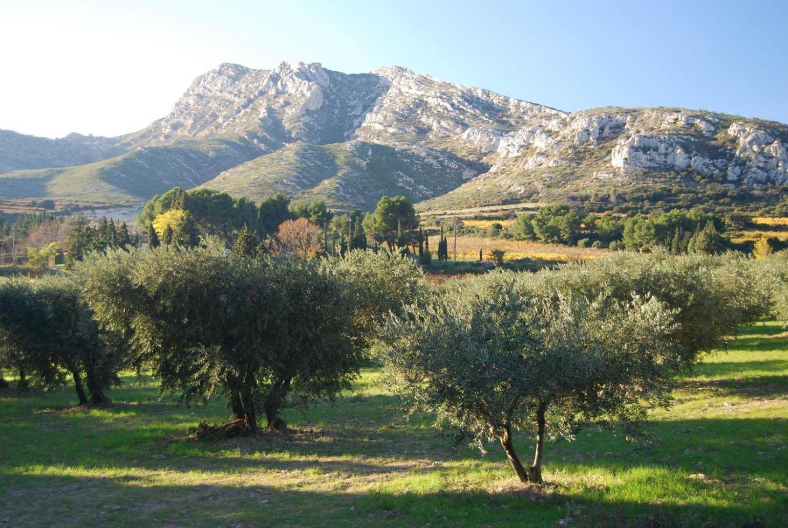 Sous Le Soleil Des Alpilles Apartment Mouries Exterior photo