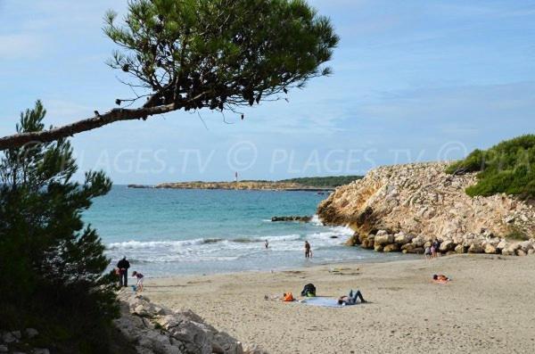 Sous Le Soleil Des Alpilles Apartment Mouries Exterior photo